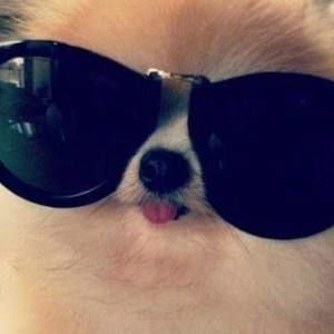 Meet your Posher, Colter